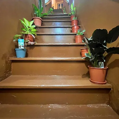 Mouraria Sulemange Baixa Homestay szállás *